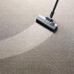 Platinum Professional Carpet Cleaning