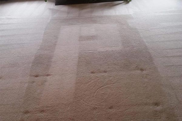 Carpet Cleaning