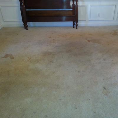 Carpet After