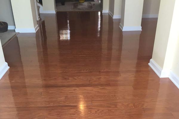 Hardwood Floor