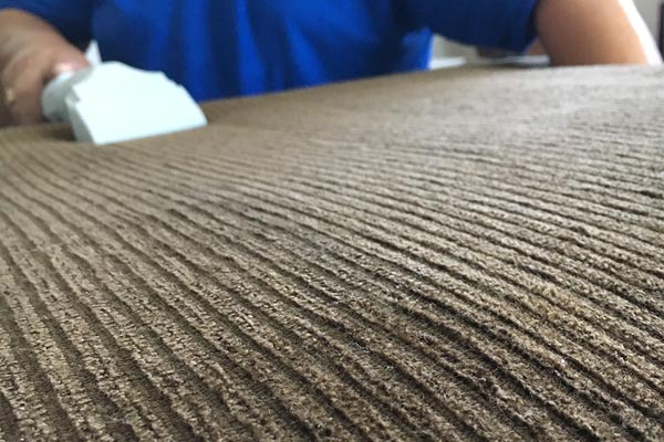 Upholstery Cleaning